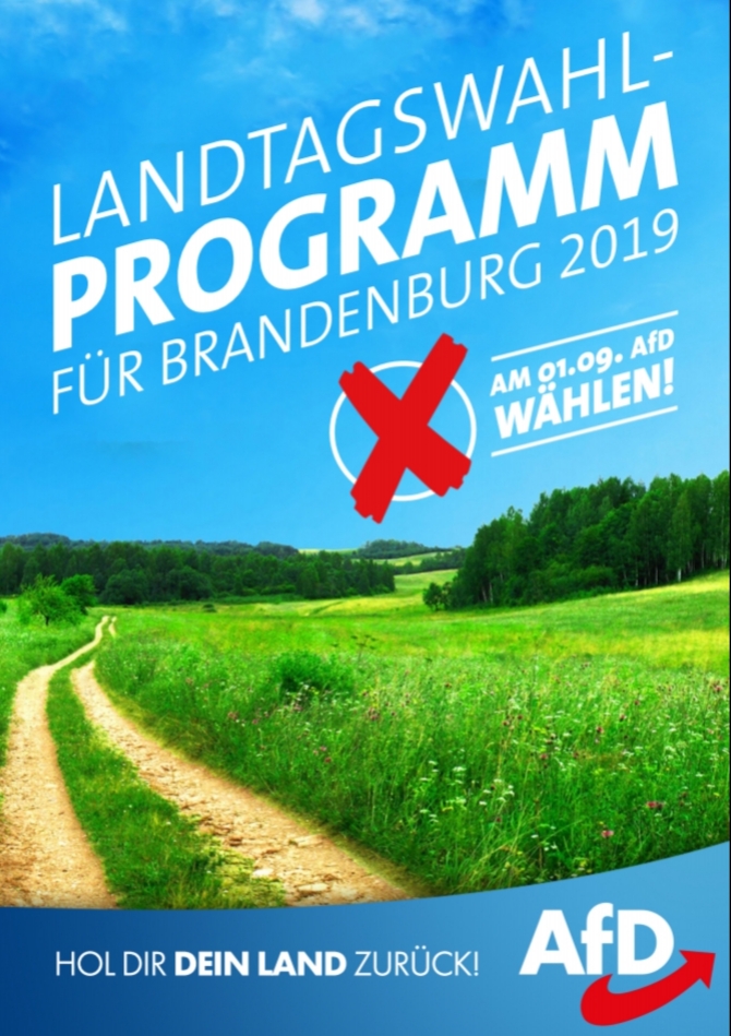 Direktkandidaten zur Landtagswahl 2019